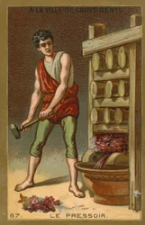 Presse à vin