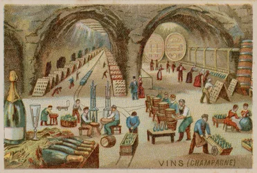 Vins (Champagne)