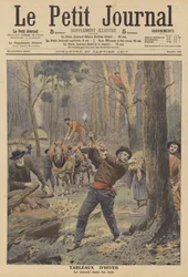 Bûcherons au travail en hiver