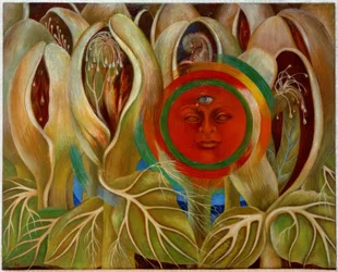 Le soleil et la vie