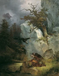 Un vautour sur un cerf mort