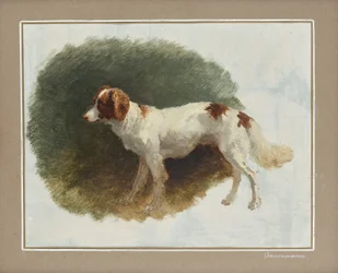 Chien de chasse