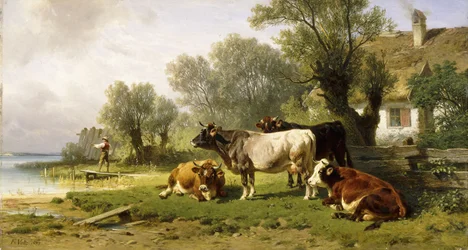 Bétail dans une cour de ferme le long d