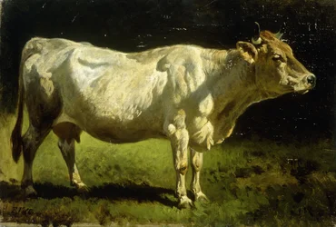 Vache dans un paysage