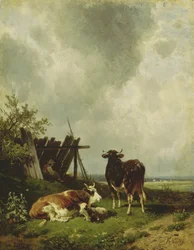Les vaches