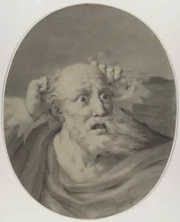Vieil homme avec barbe, ébouriffant ses cheveux