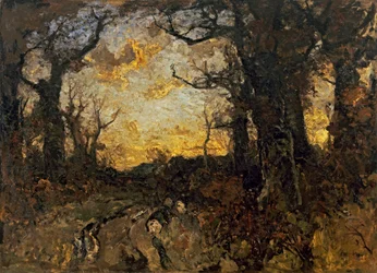 Soirée en forêt