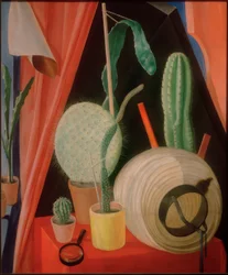Nature morte avec cactus