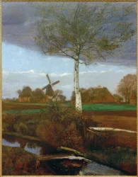Automne dans la lande