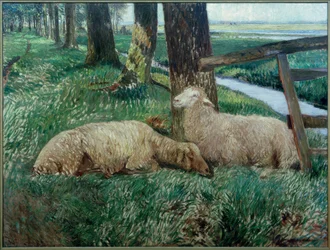 Moutons au repos