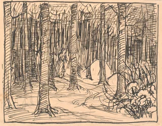 Au fond de la forêt, les chemins se croisaient...