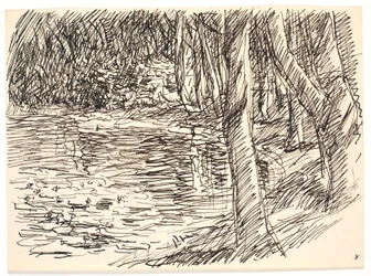Un lac forestier