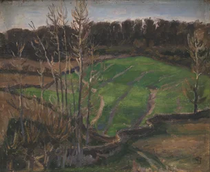 Paysage près de Svanninge avec des semis d