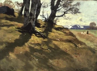 Paysage à Stord, Norvège