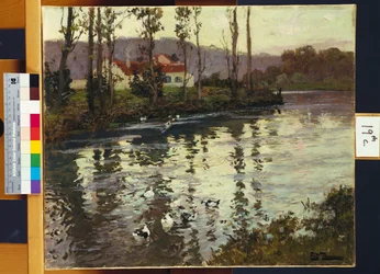 Paysage fluvial avec des canards