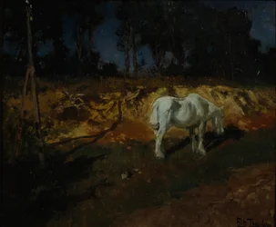 Le cheval du docteur