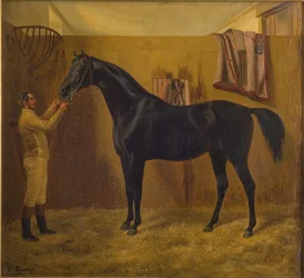Comète noire
