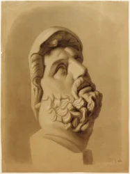 Détail de la tête du Laocoon