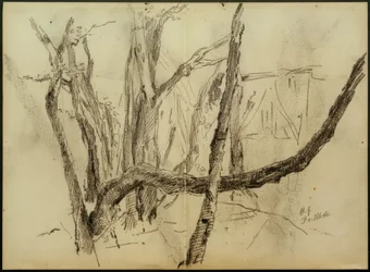 Branches