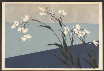 Shasei sôka môyô, Motifs de plantes et de fleurs d