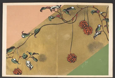 Shasei sôka môyô, Motifs de plantes et de fleurs d