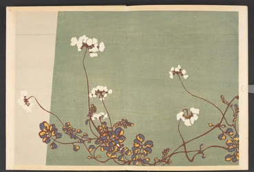 Shasei sôka môyô, Motifs de plantes et de fleurs de la vie