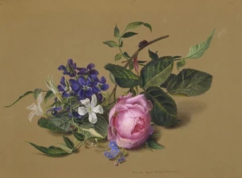 Scarabée sur la branche de rose