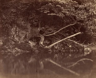 Rive de la rivière dans la vallée de Neath, vers 1855 (photo) 1855 (photo)