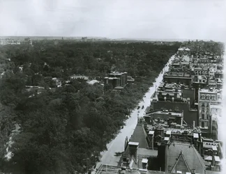 Cinquième Avenue, vue vers le nord depuis le toit du Metropolitan Club dans la 61e rue, New York, c.1904