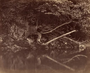 Bord de rivière dans la vallée de Neath, vers 1855