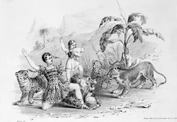 Isaac Van Amburgh domptant un lion
