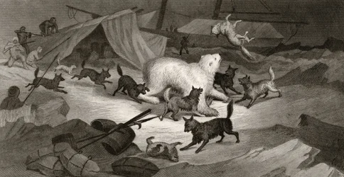 Chasse à l