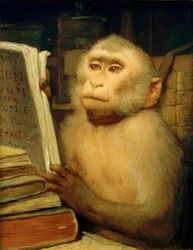 Singe lisant
