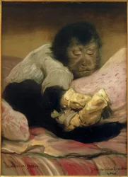 Oubli de la douleur (III)