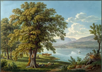 Vue depuis l