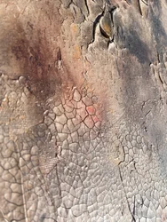 Texture de terre craquelée