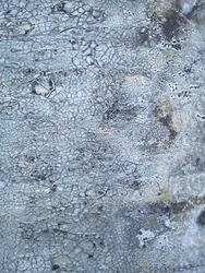 Texture grise craquelée