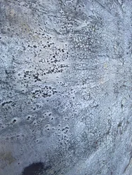 Texture métallique craquelée