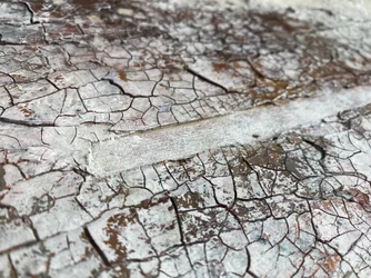 Surface blanche fissurée