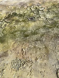 Texture abstraite aux accents naturels