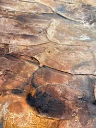 Terre craquelée dorée