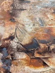 Textures organiques patinées