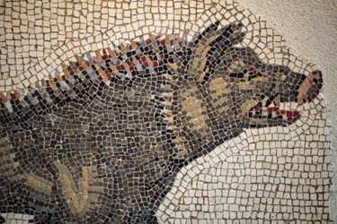 Mosaïque romaine