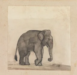 Éléphant