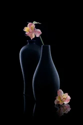 Élégants vases d