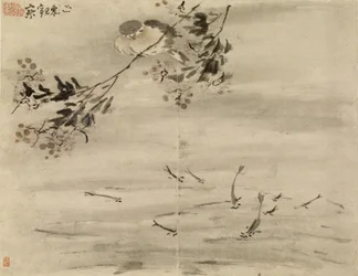 Oiseau observant un poisson