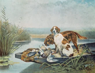 Souvenirs de chasse : « chiens et gibier » Aquarelle de Jules et Gaston Gelibert (19ème siècle)