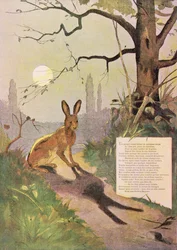 Les Oreilles du lièvre, des Fables de Jean de La Fontaine