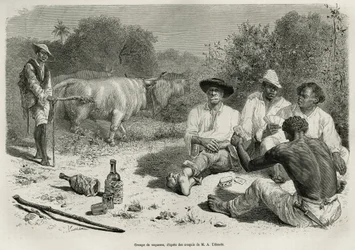 Un groupe de vaqueros jouant aux cartes et buvant de l