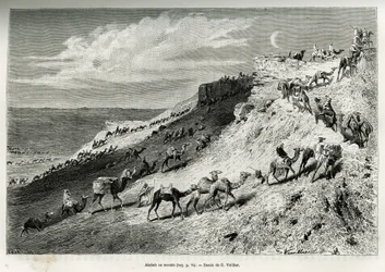 Akabah ou alignement de chameaux de la caravane. Gravure par G. Vuillier, pour illustrer l